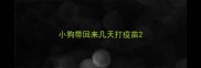 小狗带回来几天打疫苗