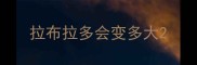 拉布拉多会变多大