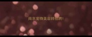 南京宠物美容师招聘