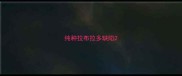 纯种拉布拉多缺陷