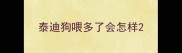 泰迪狗喂多了会怎样