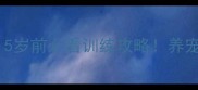 金毛多大不闹了5岁前必看训练攻略养宠人看完少哭100次
