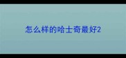 怎么样的哈士奇最好