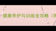 北京泰迪犬erduo健康养护与训练全攻略附最新饲养指南
