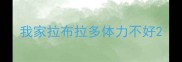我家拉布拉多体力不好