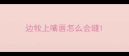 边牧上嘴唇怎么会缝