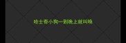 哈士奇小狗一到晚上就叫唤
