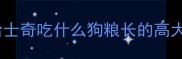 哈士奇吃什么狗粮长的高大