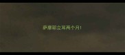 萨摩耶立耳两个月