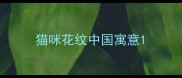 猫咪花纹中国寓意