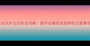 幼犬外出月龄全攻略新手必看疫苗接种后注意事项