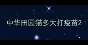 中华田园猫多大打疫苗