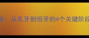 萨摩耶牙齿发育全从乳牙到恒牙的4个关键阶段与科学护理指南