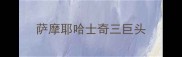 萨摩耶哈士奇三巨头
