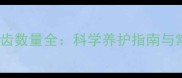 拉布拉多犬牙齿数量全科学养护指南与常见问题解答
