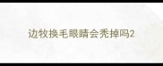 边牧换毛眼睛会秃掉吗