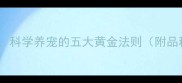 拉布拉多与暹罗猫相处指南科学养宠的五大黄金法则附品种对比互动技巧健康护理