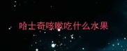 哈士奇咳嗽吃什么水果