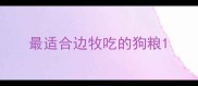 最适合边牧吃的狗粮