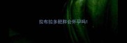 拉布拉多肥胖会怀孕吗