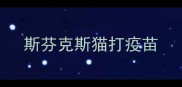 斯芬克斯猫打疫苗