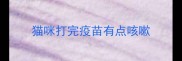 猫咪打完疫苗有点咳嗽