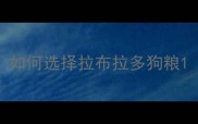 如何选择拉布拉多狗粮