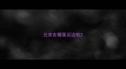 北京在哪里买边牧