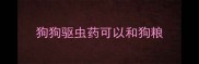 狗狗驱虫药可以和狗粮
