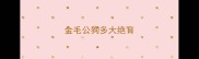 金毛公狗多大绝育
