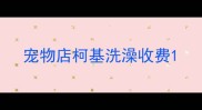 宠物店柯基洗澡收费