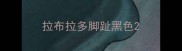 拉布拉多脚趾黑色