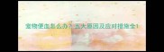 宠物便血怎么办五大原因及应对措施全