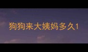 狗狗来大姨妈多久