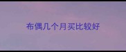 布偶几个月买比较好