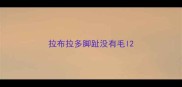 拉布拉多脚趾没有毛l