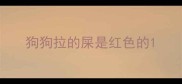 狗狗拉的屎是红色的