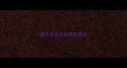 两个月金毛幼犬吃多少