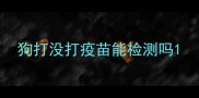狗打没打疫苗能检测吗