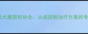 哈士奇母犬腹部包块全从成因到治疗方案的专家指南