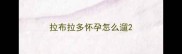 拉布拉多怀孕怎么遛