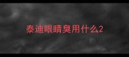 泰迪眼睛臭用什么