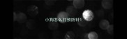 小狗怎么打预防针