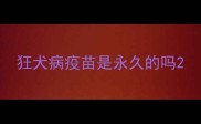 狂犬病疫苗是永久的吗