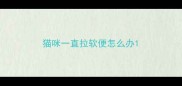 猫咪一直拉软便怎么办