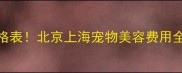 最新狗狗理发价格表北京上海宠物美容费用全附避坑指南