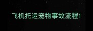 飞机托运宠物事故流程