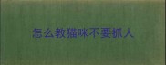 怎么教猫咪不要抓人