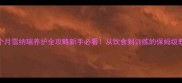 5个月雪纳瑞养护全攻略新手必看从饮食到训练的保姆级教程