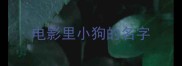电影里小狗的名字